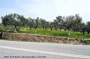 038- Tour de l'ile de Rhodes